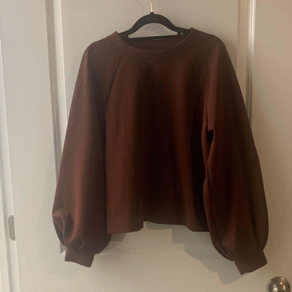 Prologue Brown Women's Top
